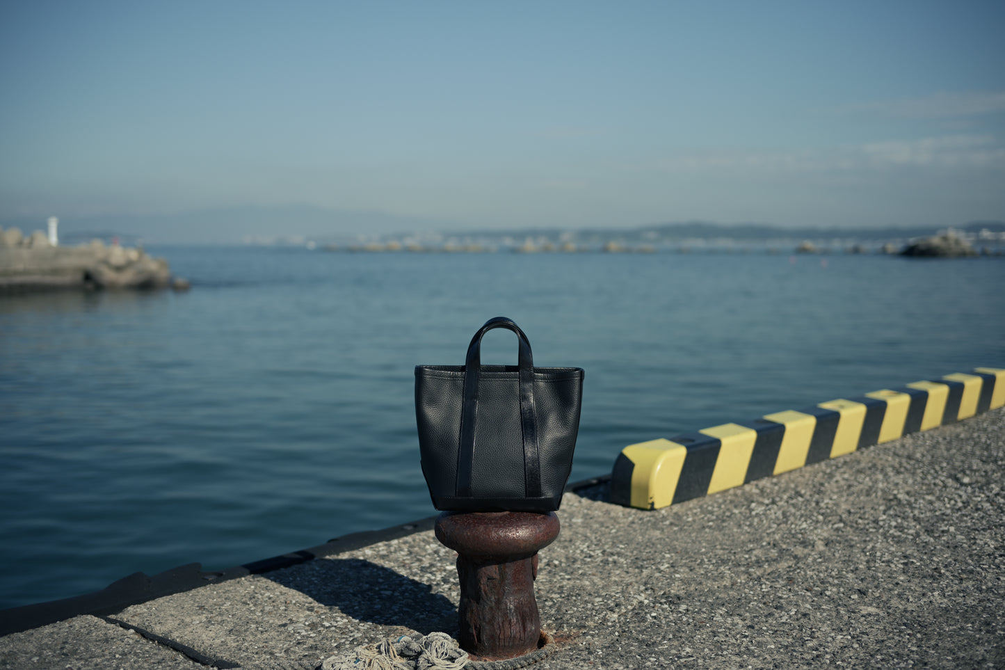 DAY TOTE S