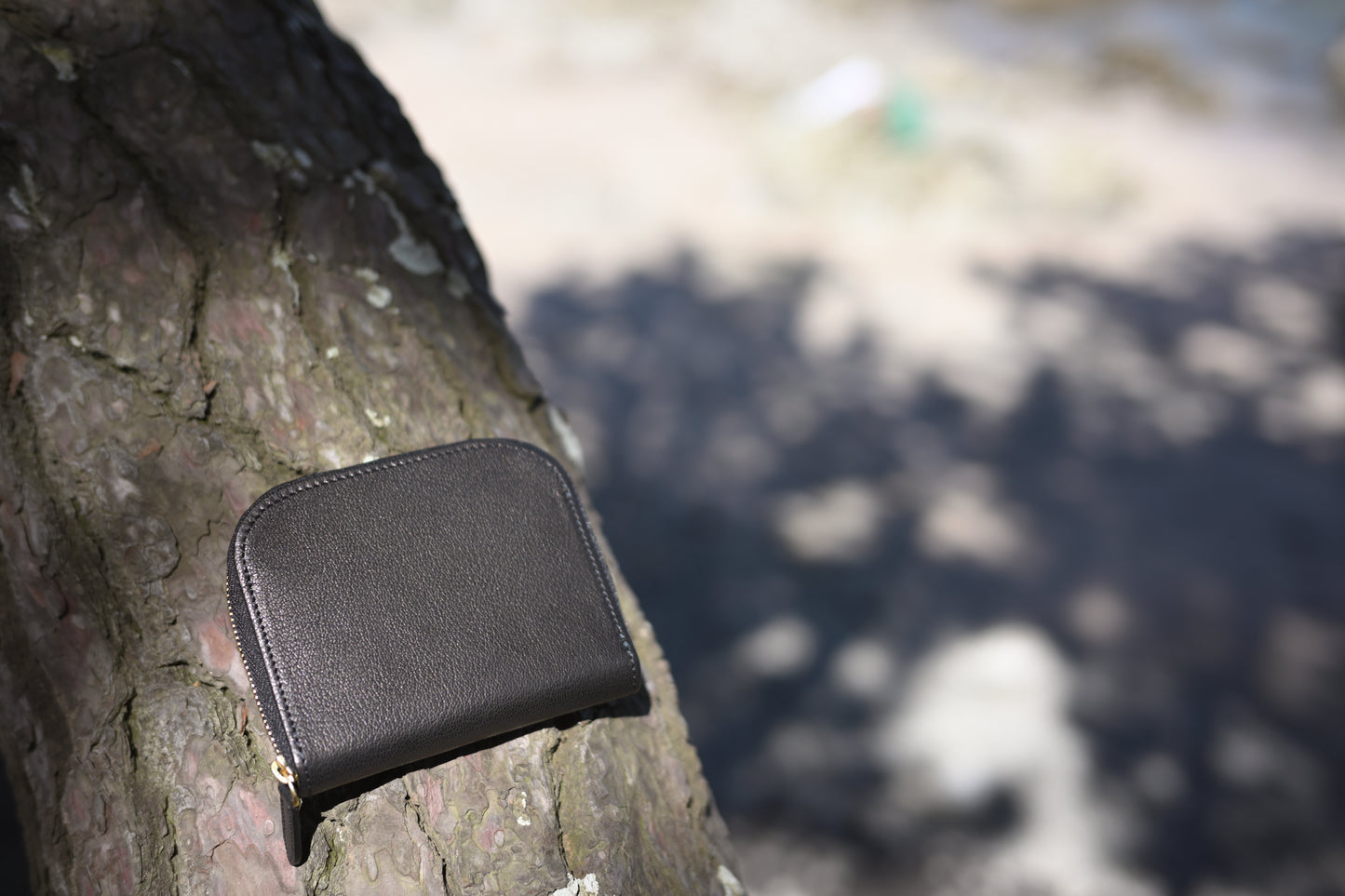 DAY WALLET