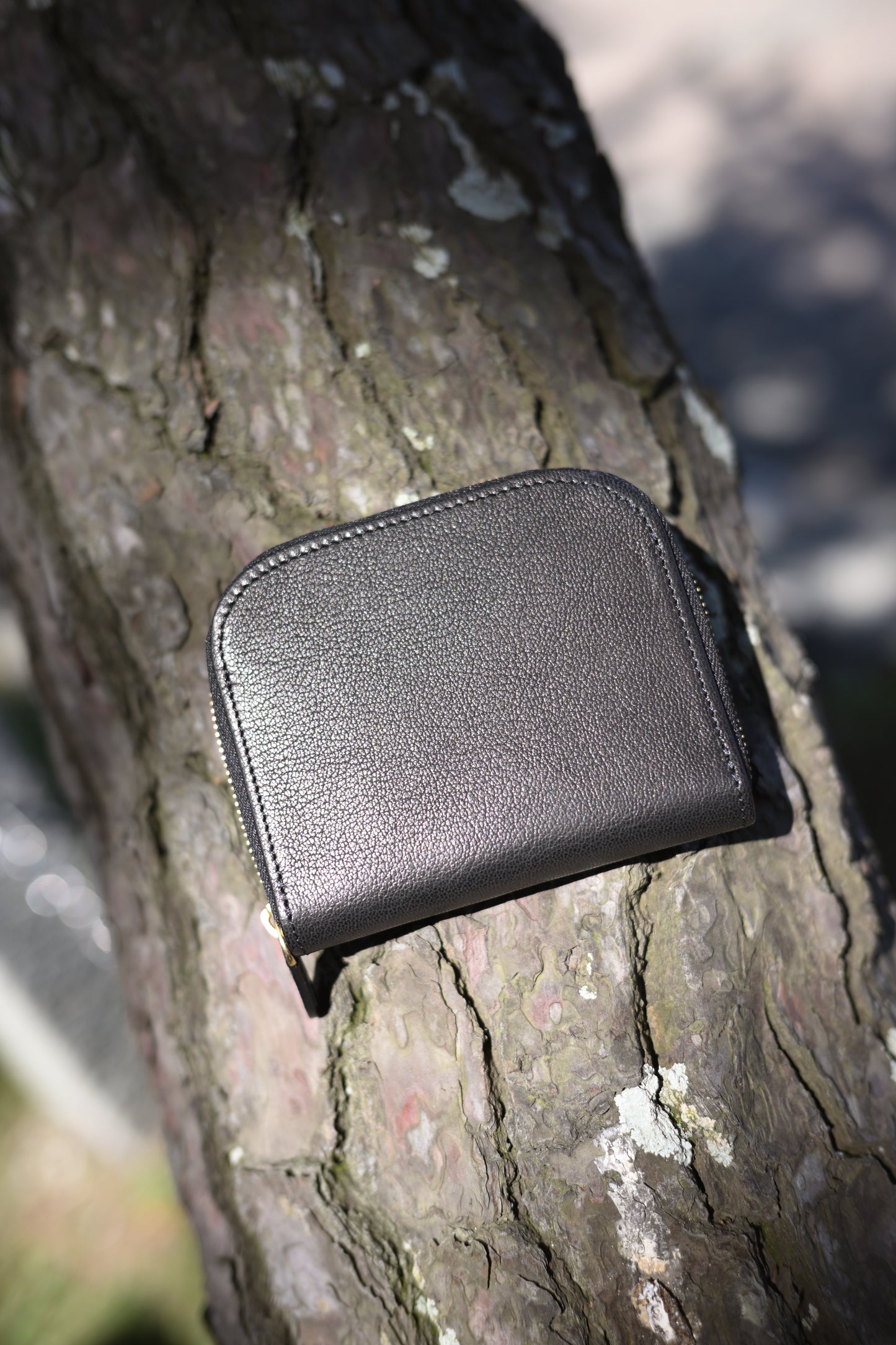 DAY WALLET