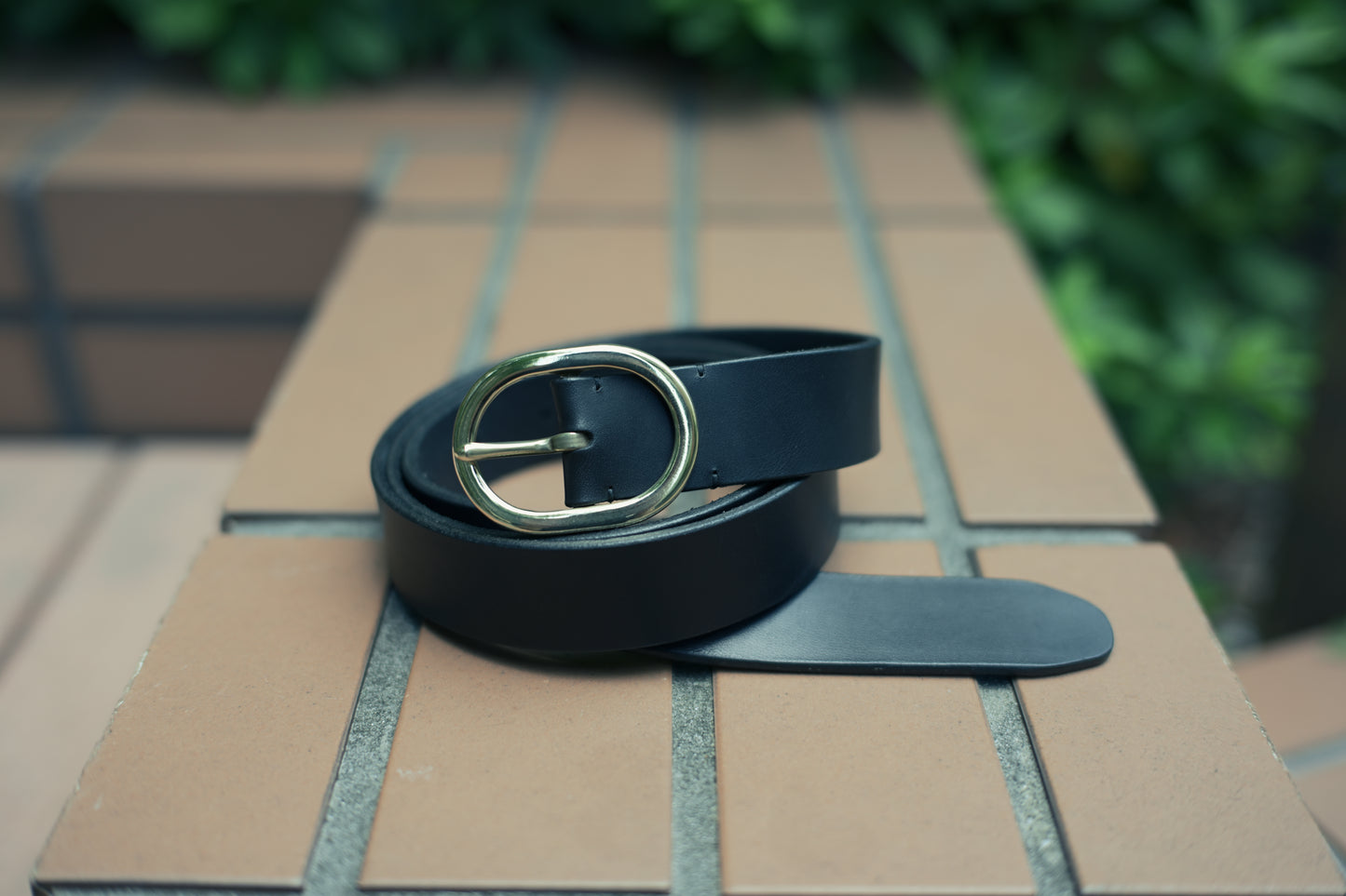 STANDARD BELT